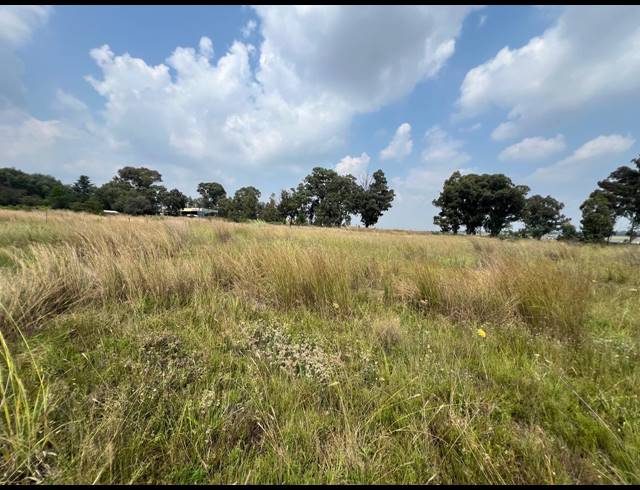 9,913M² VACANT LAND FOR SALE IN DE DEUR